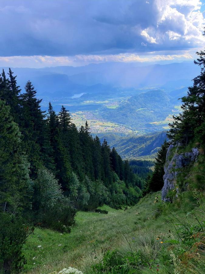 Apartment Alpine Lake Bled Bagian luar foto