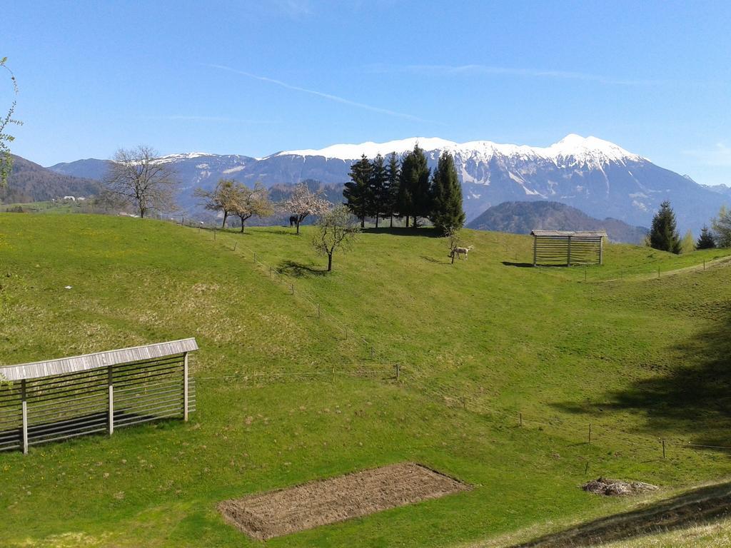 Apartment Alpine Lake Bled Ruang foto