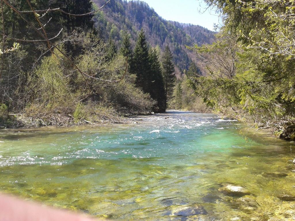 Apartment Alpine Lake Bled Bagian luar foto